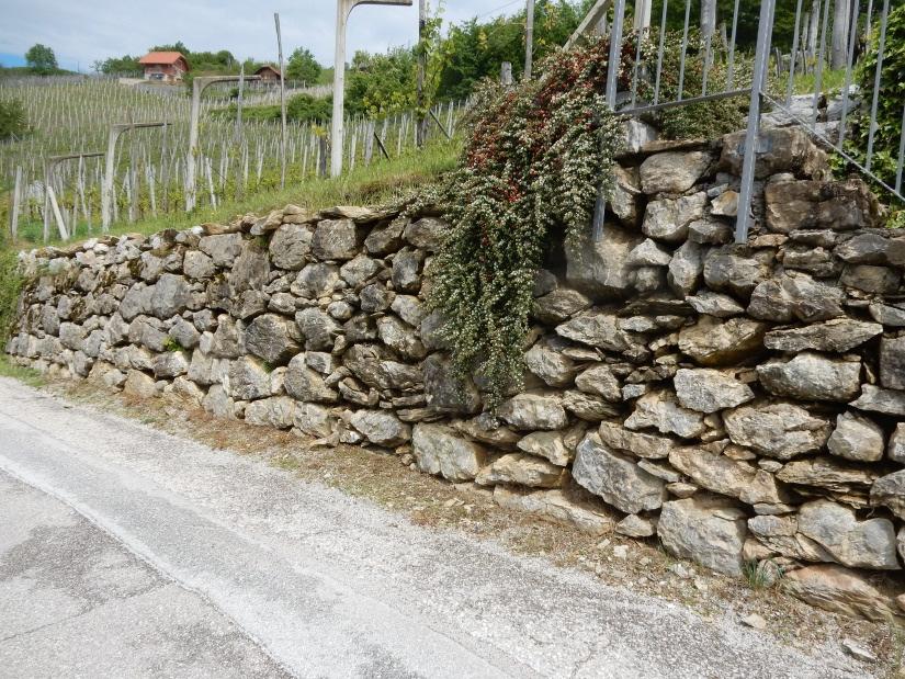 Posedek desne strani ceste, vidne razpoke na cestišču Obstoječi zid v slabem stanju, rušenje kamenja Slika 3: