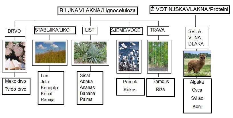 Kompozite s prirodnim vlaknima nazivamo još i biokompozitima.