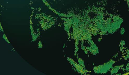 . هو التقدر الا حدث لعدد الا شجار الموجودة على سطح الكوكب حسب ما نشر دورة Nature وهو تجاوز عدد النجوم مجرة درب التب انة.