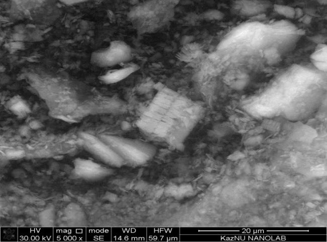 (а) В 50 (б) ВHCI500 33 сурет Вермикулит үлгілерінің СЭМ фотосуреттері жəне ЭДС спектрлері 31а СЭМ фотосуретінде бастапқы каолиннің беттік құрылысы ұсақ түйірлі болып келетін жұқа мақта тəріздес