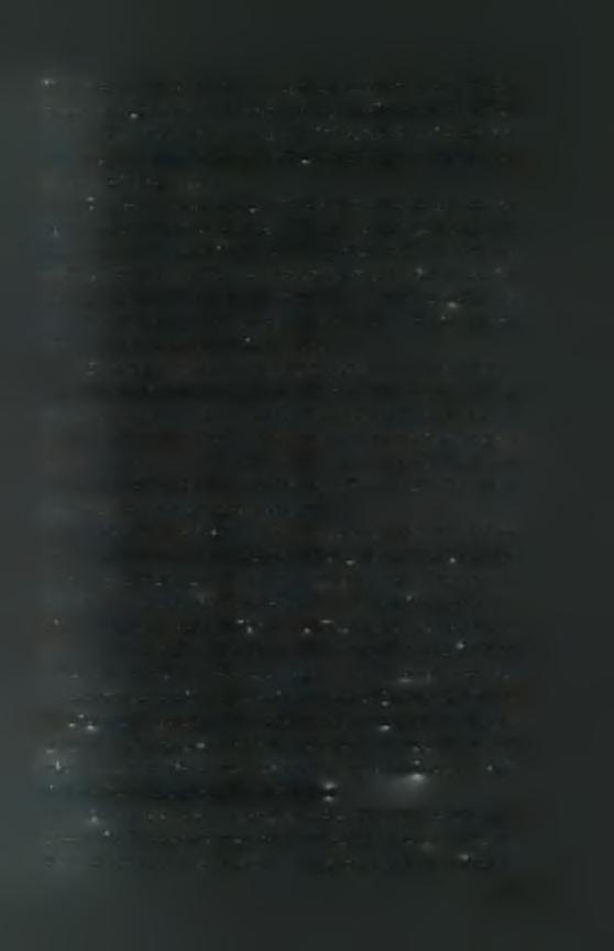 διευκολύνει και την εγκατάσταση του ωφέλιμου ενδοφυτικού μύκητα FsK-gfp. (Linderman, 1992).