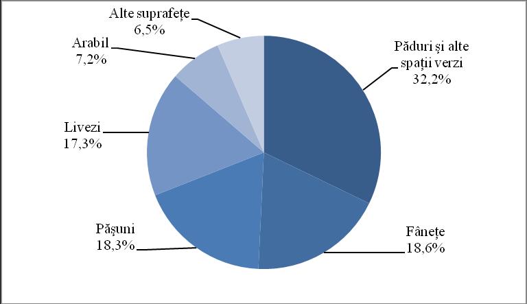 Grafic nr. 1.