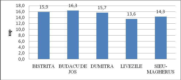 În ceea ce priveşte suprafaţa locuibilă medie/locuitor din zona periurbană, aceasta era, în anul 2009, de 14,9 mp/locuitor, sub media judeţeană şi cea din Municipiul Bistriţa.
