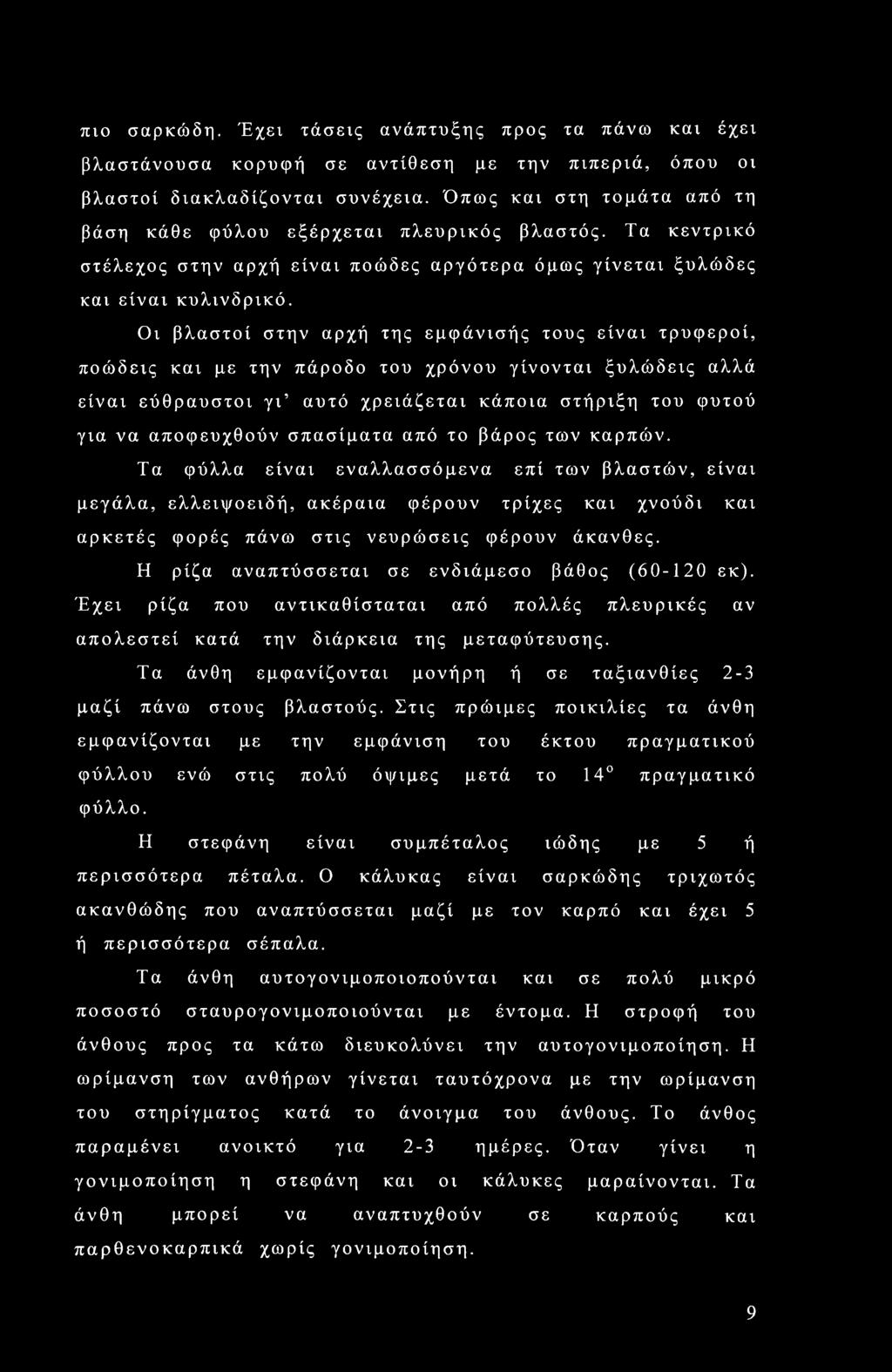 Οι βλαστοί στην αρχή της εμφάνισής τους είναι τρυφεροί, ποώδεις και με την πάροδο του χρόνου γίνονται ξυλώδεις αλλά είναι εύθραυστοι γι αυτό χρειάζεται κάποια στήριξη του φυτού για να αποφευχθούν