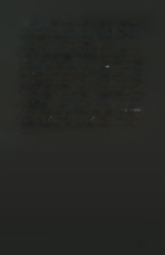 Η μελιτζάνα είναι φυτό ουδέτερο στον φωτοπεριοδισμό που σημαίνει ότι ανεξάρτητα από εποχές δεν συναντάται δυσκολίες στην παραγωγή ανθέων. Άρα δεν έχουμε πρόβλημα τον χειμώνα για παραγωγή ανθέων.
