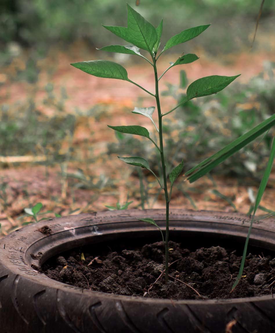 ΠΑΡΑΡΤΗΜΑ Συλλέκτες Μεταφορείς ECO TRANS ΕΠΕ 210722500 ΑΓΓΕΛΟΣ ΣΩΤΗΡΙΟΥ & ΣΙΑ ΟΕ 2105818175 ΑΝΑΚΥΚΛΩΣΗ ΑΙΓΑΙΟΥ ΧΥΤΗΡΙΑ ΑΒΕΕ 225101077 ΑΤΣΑΣ ΑΕΒΕ 6986 ΑΦΟΙ ΣΙΑΚΑΝΔΑΡΗ ΕΠΕ 2262058211 Δ.Κ. ΚΥΚΛΟΣ ΑΒΕΕ 2521081121 ΔΟΓΚΑΚΗΣ ΙΩΑΝ.