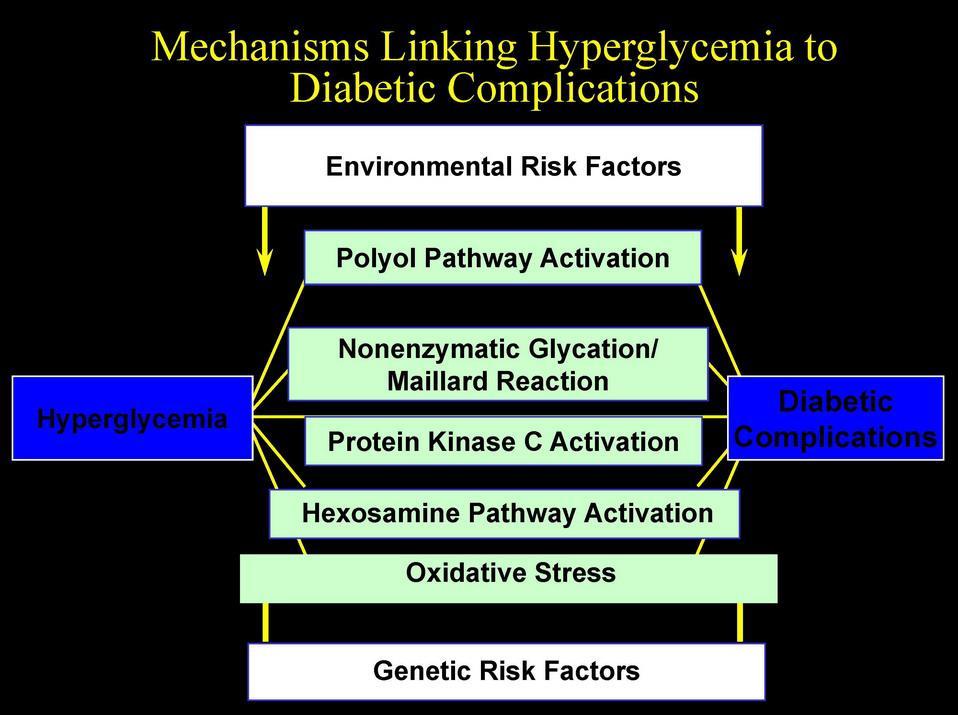 Mechanizmy spájajúce hyperglykémiu s diabetickými komplikáciami Environmentálne rizikové faktory Polyolová cesta Hyperglykémia Neenzýmová