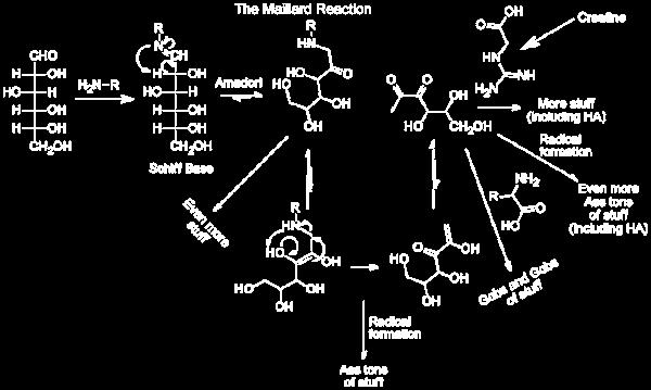 Chémia Maillardovej reakcie Hodge, 1953