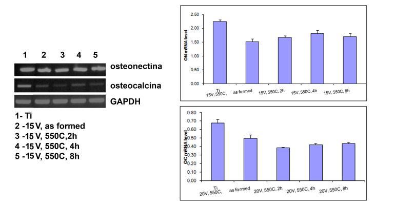 % NH 4 F depuse la 20 V Depunerile de Glicerol:H 2 O(60:40 vol. %) + 0.5 wt.