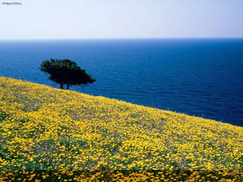 ΚΑΛΟ