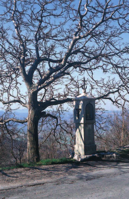 4 Stebrasto znamenje pod Colom (609 m) z napisom