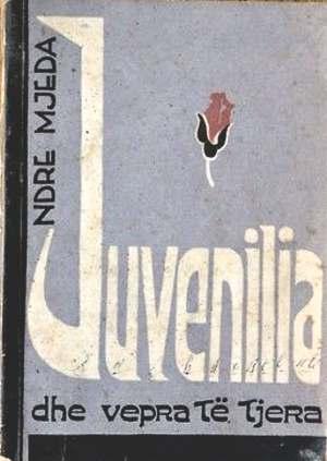 Studim poemën Andrra e Jetës. Në periudhën e dytë të krijimeve të tij artistike Mjeda bëri një kthesë të thellë: tani edhe forma edhe brendia e artit të tij janë nën influencën direkte të klasicizmit.