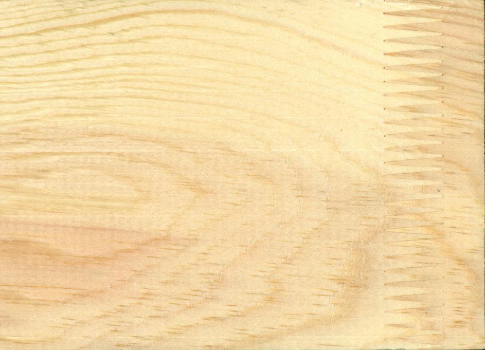 Κατά τον μελετητή, η πρώτη μακροσκοπική εμφάνιση της ξυλείας έδειχνε ότι το δασοπονικό είδος είναι πιθανώς πεύκο (Pinus sp.