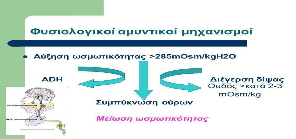 Αντιδιουρητική ορμόνη βαζοπρεσσίνη-adh (3) 2-4% αύξηση ενδαγγειακού όγκου οδηγεί σε διούρηση Κεντρομόλες νευρικές οδοί σε διατοιχωματικούς υποδοχείς μεγάλων αρτηριών και καρδιάς Ναυτία και έμετος