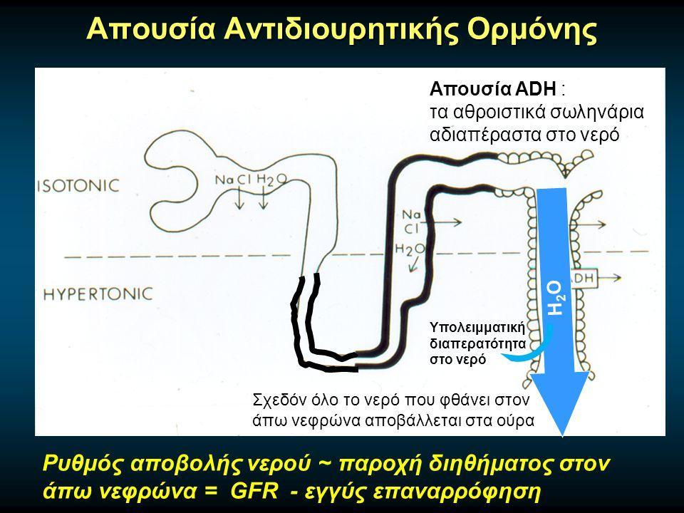 Αντιδιουρητική ορμόνη βαζοπρεσσίνη-adh (5) Ε.