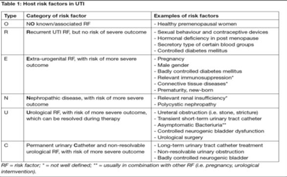 Επιπλεγμένες ουρολοιμώξεις με ουρολογικούς και νεφρολογικούς παράγοντες κινδύνου Μια επιπλεγμένη