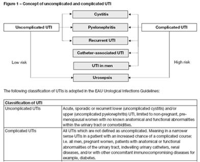 Ταξινόμηση Ουρολοιμώξεις σε άντρες Ουρηθρίτιδα Κυστίτιδα Προστατίτιδα Επιδιδυμίτιδα Ορχίτιδα Πυελονεφρίτιδα Λοιμώξεις σχετιζόμενες με καθετήρες Κατώτερο Ουροποιητικό Ανώτερο Ουροποιητικό EAU