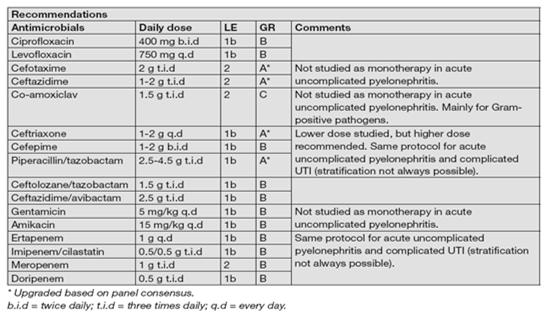 Επιλογή αντιμικροβιακής αγωγής EAU Guidelines, 2017 Ουρηθρίτιδα Κυστίτιδα Προστατίτιδα Επιδιδυμίτιδα Ορχίτιδα Πυελονεφρίτιδα Λοιμώξεις σχετιζόμενες με καθετήρες Λοιμώξεις σχετιζόμενες με καθετήρες