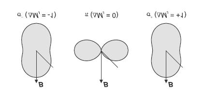 Zeeman, avand distanta energetica precizata de formula (5). Tranzitiile optice intre aceste nivele sunt posibile numai sub forma radiatiei dipolar electrice.