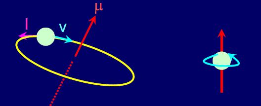 momentul magnetic de dipol μ : μ = ( gµ )J B unde g este factorul Landé : g = 3 2 + S( S + 1) L( L + 1) 2J ( J + 1) L este momentul magnetic orbital, şi µ B