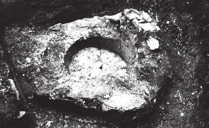 116 Оливера Илић Сл. 7. Баботинац код Прокупља, остаци писцине. Fig. 7 Babotinac near Prokuplje, remains of piscine. трпезе.