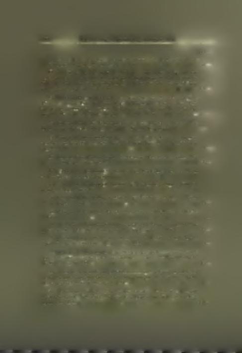 Σχήμα 4 ν, σελίδες β +στήλαι 118, πίνακες 36 (άρ. 1-33). 1906... 120. 13. Ρ. Kavvadias y Ο. Kawerau Die Ausgrabung der Akropolis vom Jahre 1885 bis zum Jahre 1890. Π. Καββαδίας -j- Γ.