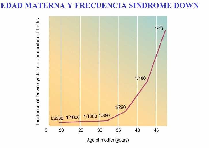 No 95% dos casos é no óvulo onde aparece o cromosoma extra Formación do