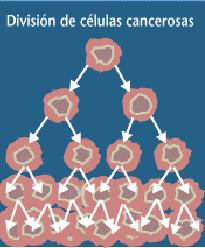 Polo contrario, cando as células dun tumor son capaces de invadir os tecidos circundantes ou distantes,