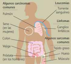O cancro non é unha única