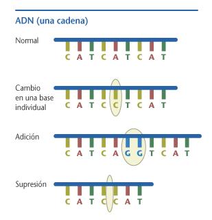 MUTACIÓNS XÉNICAS: X Son aquelas que só afectan a nucleótidos illados, ben porque se cambia un por outro, porque se engade ou se perde un nucleótido.