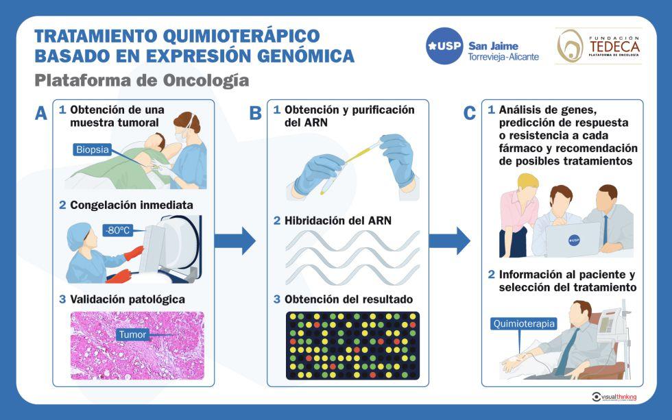 Identificación del tumor