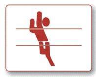 basketball d.