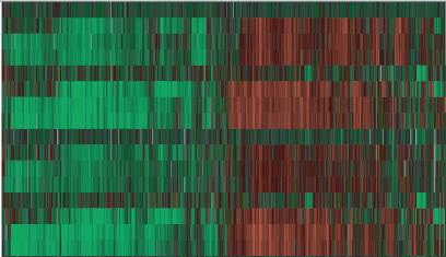Figure S8 A A549 HCT116 TOV21G DLD-1 Luc mir34a mir34b mir34c Luc mir34a mir34b mir34c Luc mir34a mir34b mir34c Luc mir34a mir34b mir34c Cell cycle genes enriched (p < 3.4e-20) -0.5 0 0.