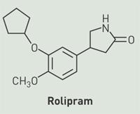Rolipram Αντικαταθλιπτικό φάρμακο Εμποδίζει την καταστροφή 3 νευροδιαβιβαστών στον εγκέφαλο: σεροτονίνη, ντοπαμίνη και