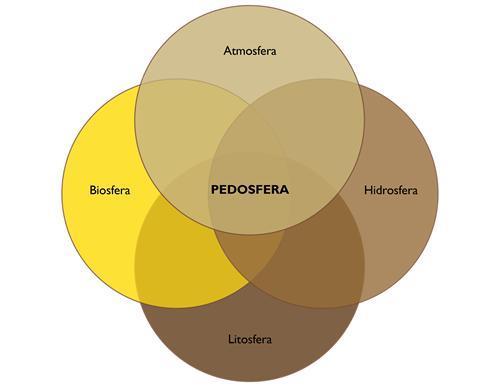 Ως πεδόσφαιρα λοιπόν αντιλαμβανόμαστε: το σύνολο των οργανισμών το σύνολο των εδαφών και των ρευστών (όπως το νερό και τον αέρα που κυκλοφορούν μέσα σ' αυτήν) Διεργασίες σχηματισμού εδάφους: Φυσικές: