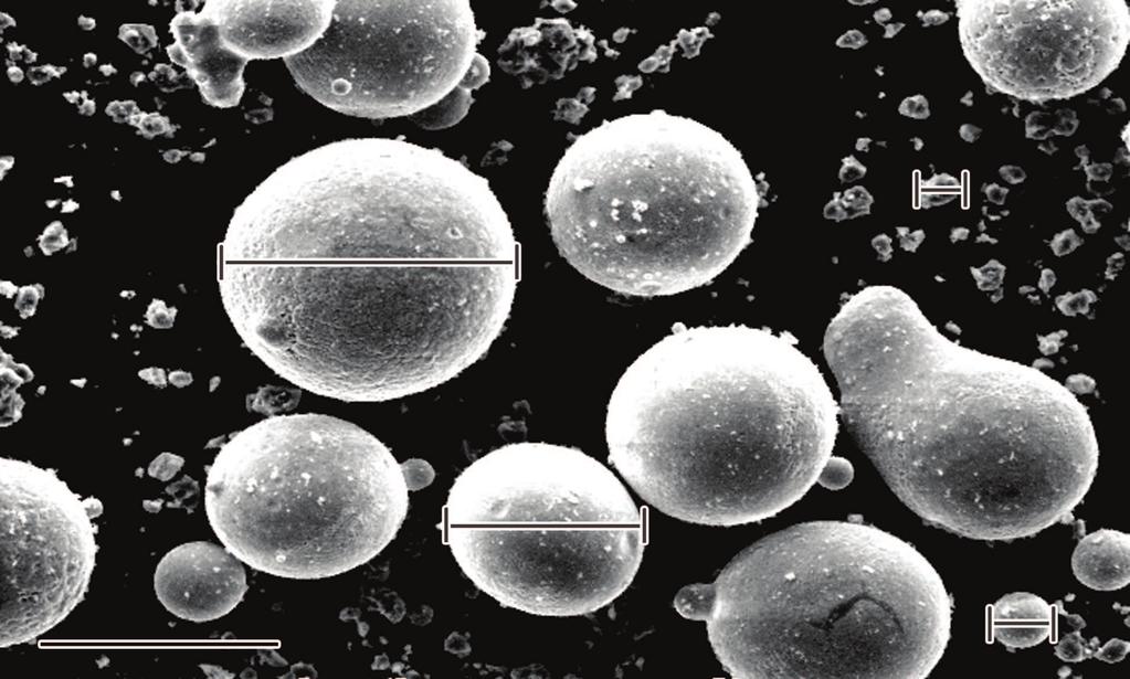 222 Ò Å 49 trend slowed down with the fluid stratosphere which caused by vibratory force and high pressure gas, and some double and petal shape TiC particle clusters were also formed.