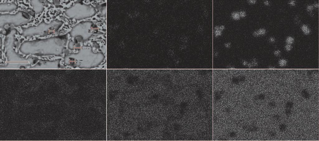 4 SEM images of the cross section of NiCrBSi TiC laser cladding composite coating bottom area (a), middle area (b) and top area (c) under mechanical vibration o 1vm(L 5w0P lbll> % 5 ;2wn)M 6x 1 Q