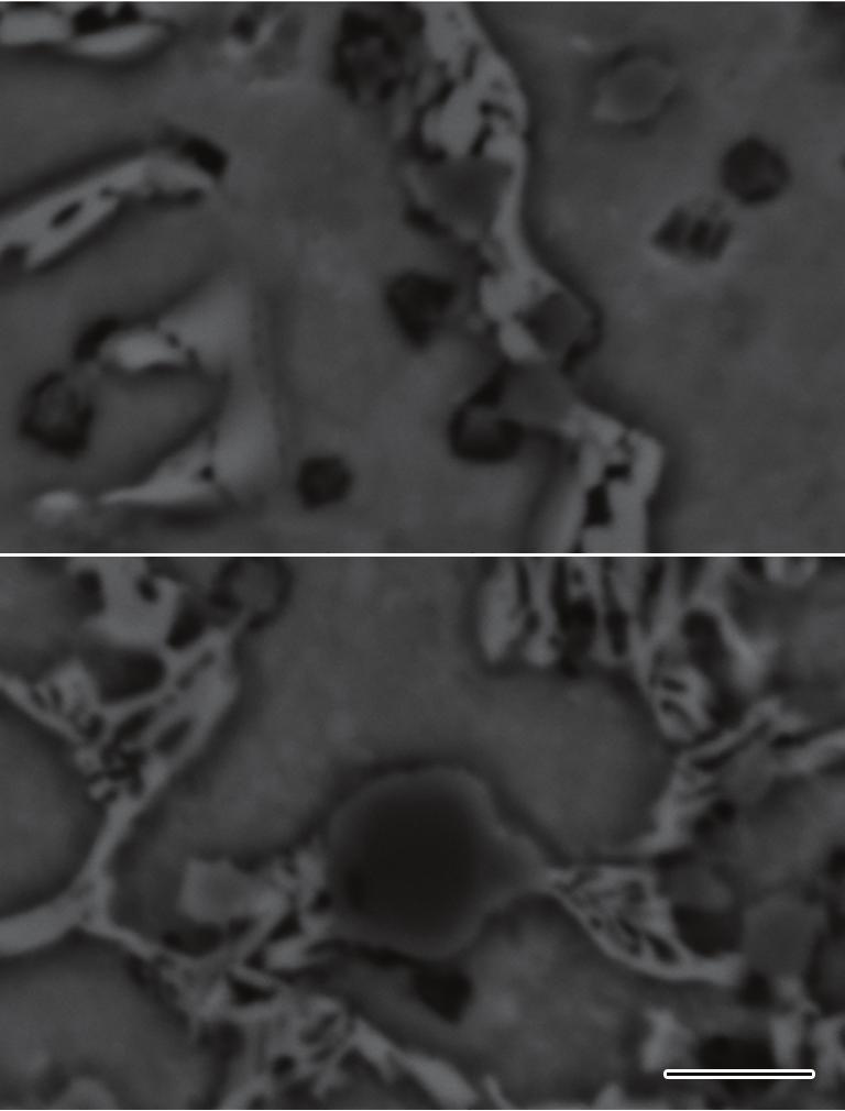h n 226 5 ( ) Cr > a, D JxqG M23 C6 "N {. X6 Cr23 C6 a [, M23 C6 Y m fl "NS:>5J1, a sq ^, 1 l Ti X$ C X $ A[+ f L M23 C6 "N;5 /, Ti C X $ RVJ "N ( V +r V : \L Q, [ u q V qd za d 4.
