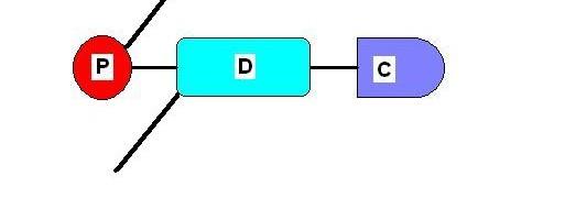 (double helix), jedrna DNK, mitohondrijska DNK, plastidna DNK