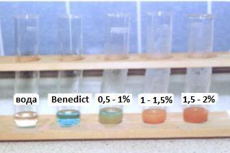 Интензитетот на обојувањето на Бенедиктовиот реагенс зависи правопропорционално од концентрацијата на јаглехидратот со редукциски својства.