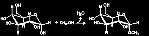 ФОРМИРАЊЕ НА ГЛИКОЗИДИ α-d-глукопираноза При реакција меѓу хидроксилната група на аномерен С-атом од моносахарид со хидроксилна група од алкохол, во присуство на кисел катализатор се добиваат