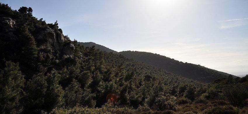 ΠΑΝΕΠΙΣΤΗΜΙΟ ΑΙΓΑΙΟΥ ΣΧΟΛΗ ΠΕΡΙΒΑΛΛΟΝΤΟΣ ΤΜΗΜΑ ΠΕΡΙΒΑΛΛΟΝΤΟΣ Τίτλος πτυχιακής εργασίας: «Στάσεις και αντιλήψεις πολιτών για την περιβαλλοντική διαχείριση της