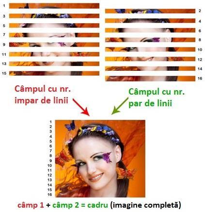 Fig.11 Modul de formare al imaginii întrețesute[7] În acest caz, liniile nu se referă la rezoluţia orizontală vizibilă ci la liniile de semnal ce pot include imaginea, teletextul, CC-urile (Closed