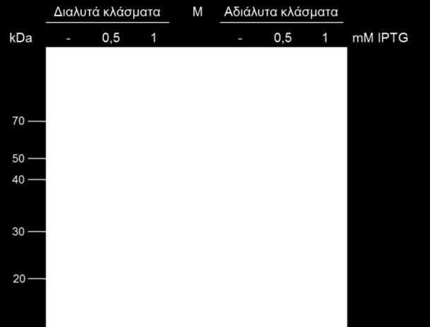 μικρότερες συγκεντρώσεις επαγωγέα για περισσότερες ώρες (16-18h) υπό συνεχή ανάδευση (210rpm).