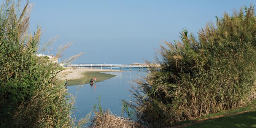 ריבוי וגידול של דגיגים במכוני רבייה, הנותן מענה כיום לכ- 7% בלבד מהביקוש. בטבע, קיפון בורי גדל במגוון מליחויות, הנעות בין מי ים למים מתוקים, אך הוא מתרבה רק במי ים.