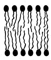 Image renamed from File:Cell membrane detailed diagram.svg, Public Domain, https://commons.wikimedia.org/w/index.php?