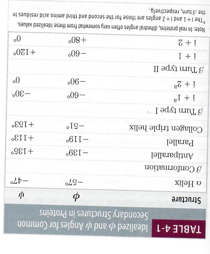 3/01/2018 Curs II - Structura