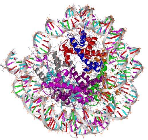 (primară). Foarte multe proteine, în forma lor activă (funcțională), există sub forma unor agregate cu mai mult de un lanț polipeptidic împachetat, această agregare determină structura cuaternară.