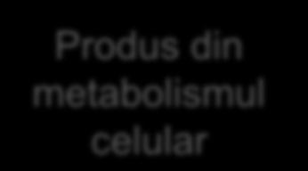 cantitatea preexistentă în organism determină creşteri moderate ale concentraţiei H +. NaCl este o sare neutră. CO 2 este preluat de hemoglobină şi eliminat pulmonar.