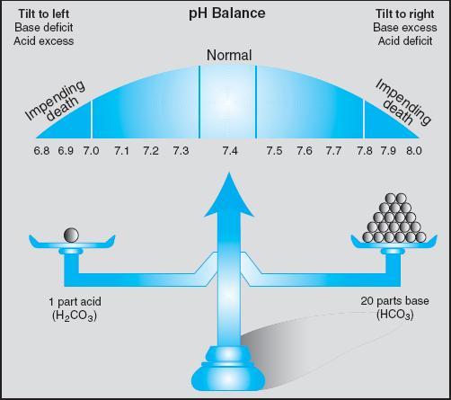 I. VARIATIILE EXTREME ALE phul SANGUIN Raportul fiziologic H 2 CO 3 /HCO 3 este de 1:20 Echilibrul reacției este situat în zona de ph ușor alcalin (7.4).